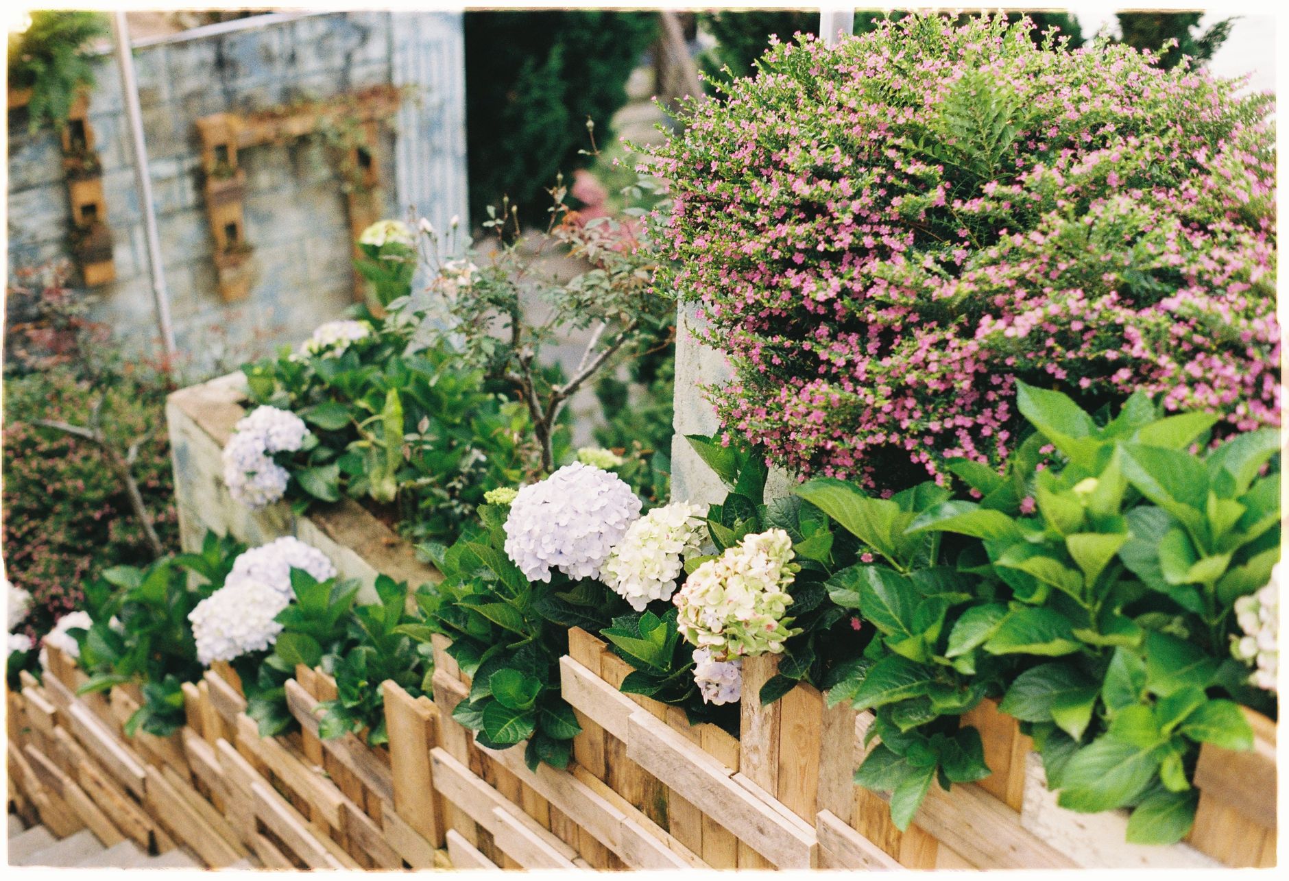 Landscape Design Workshop — Project gallery