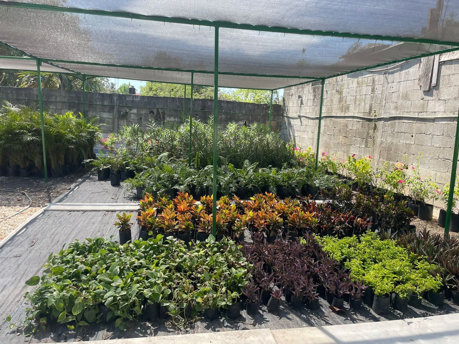 JG Jardinería — Galería de proyectos