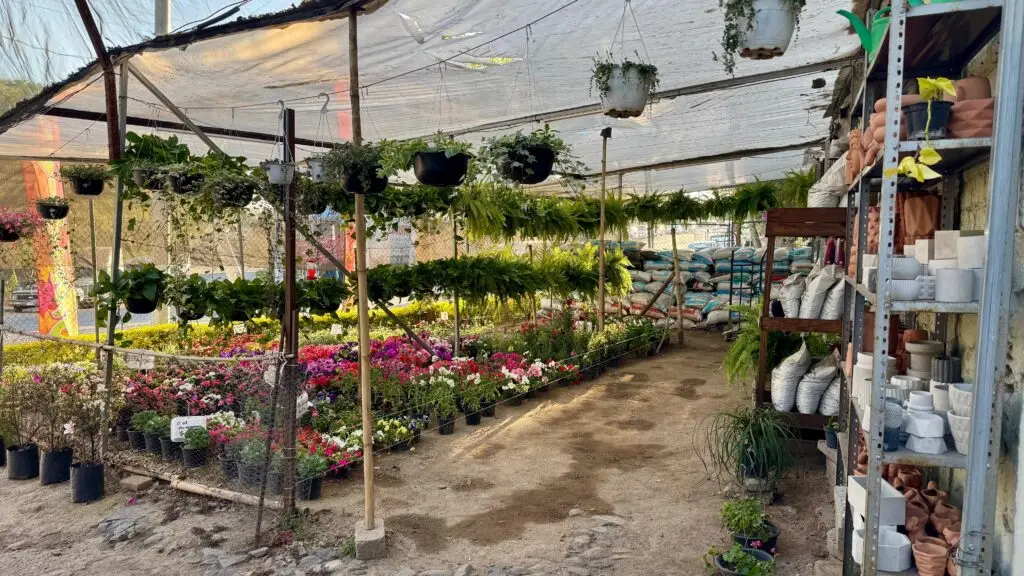 Vivero El Columpio — Galería de proyectos