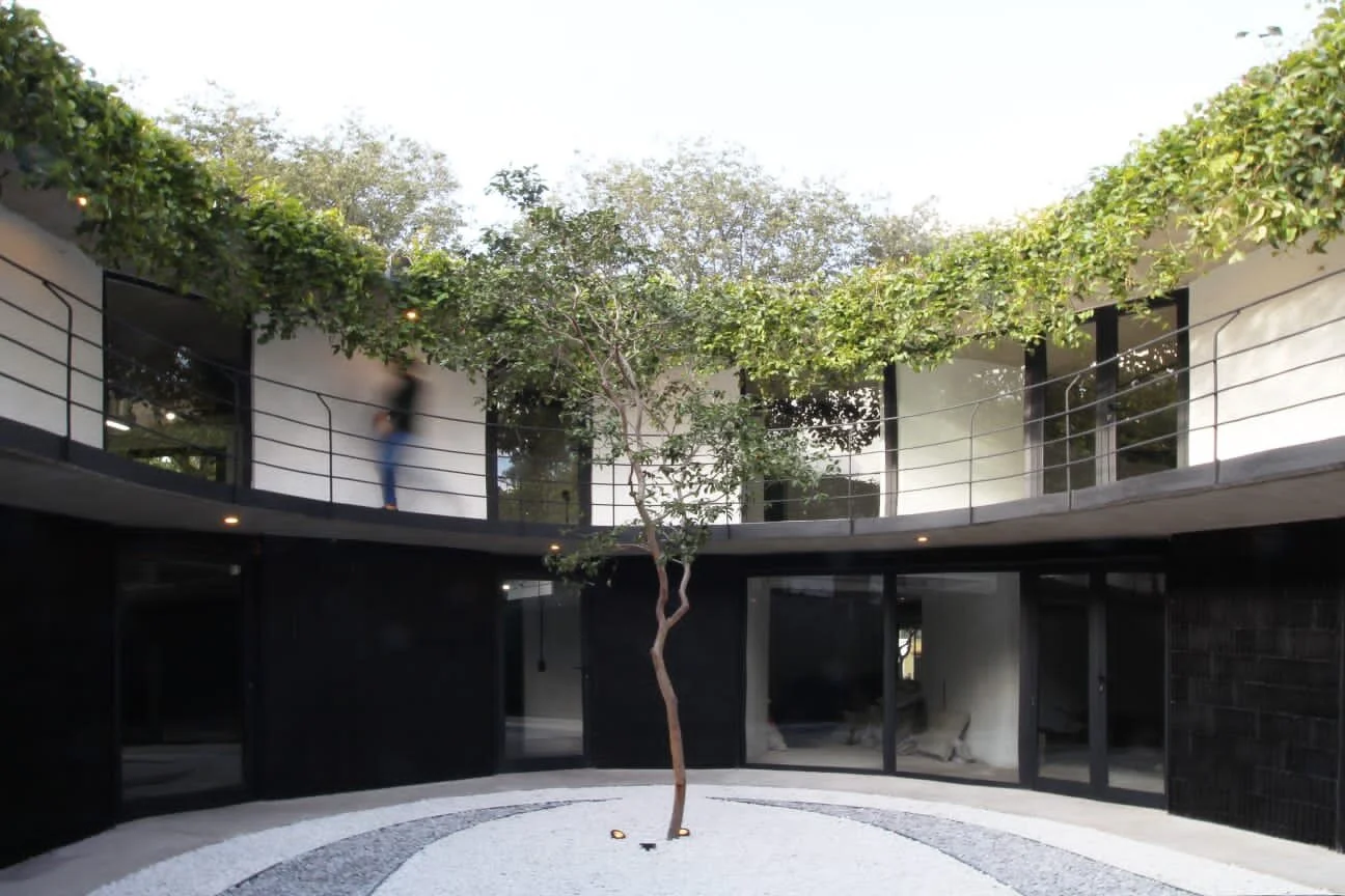 Nature Studio MX — Galería de proyectos