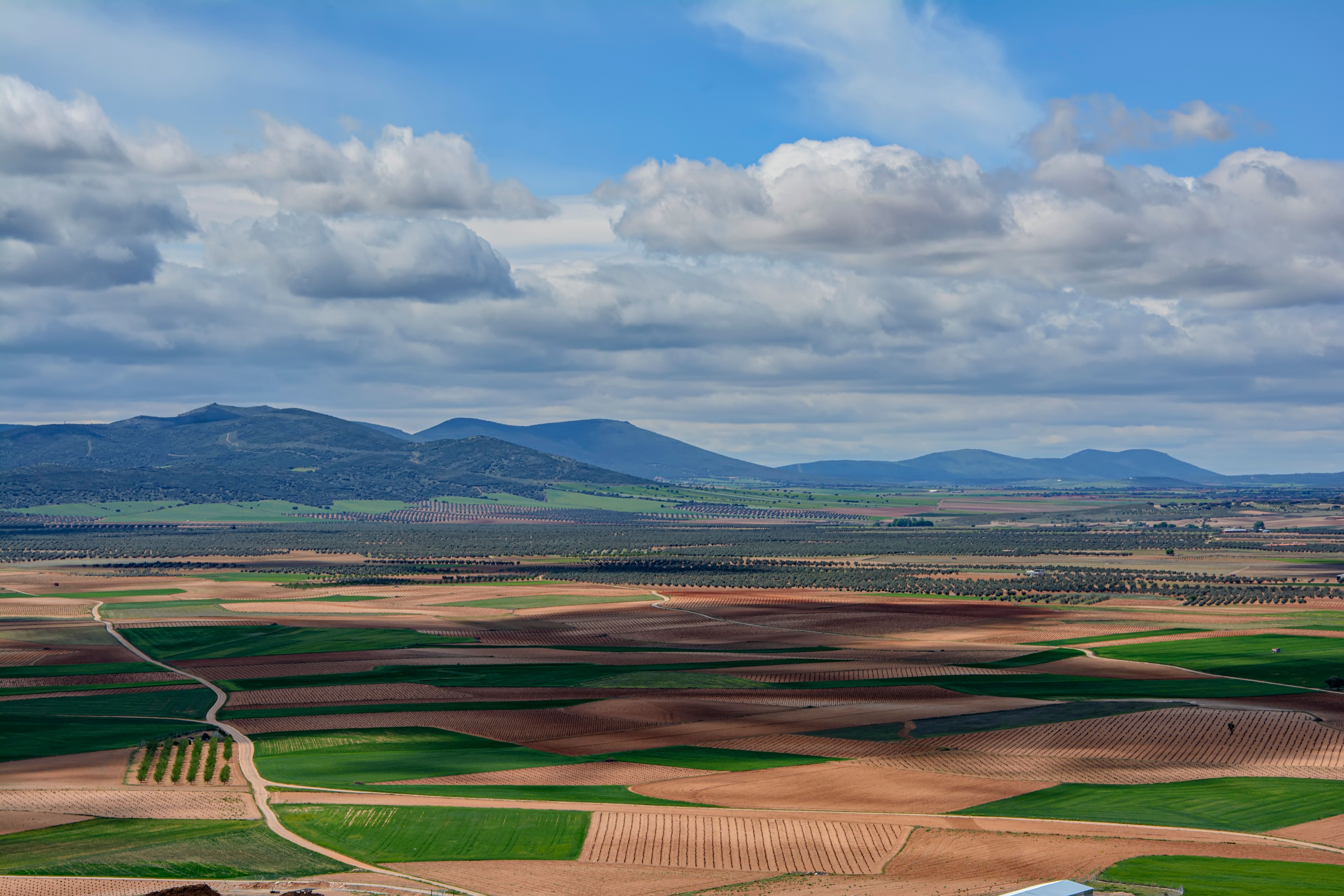 Vista aérea de campos y parcelas en Consuegra, España
