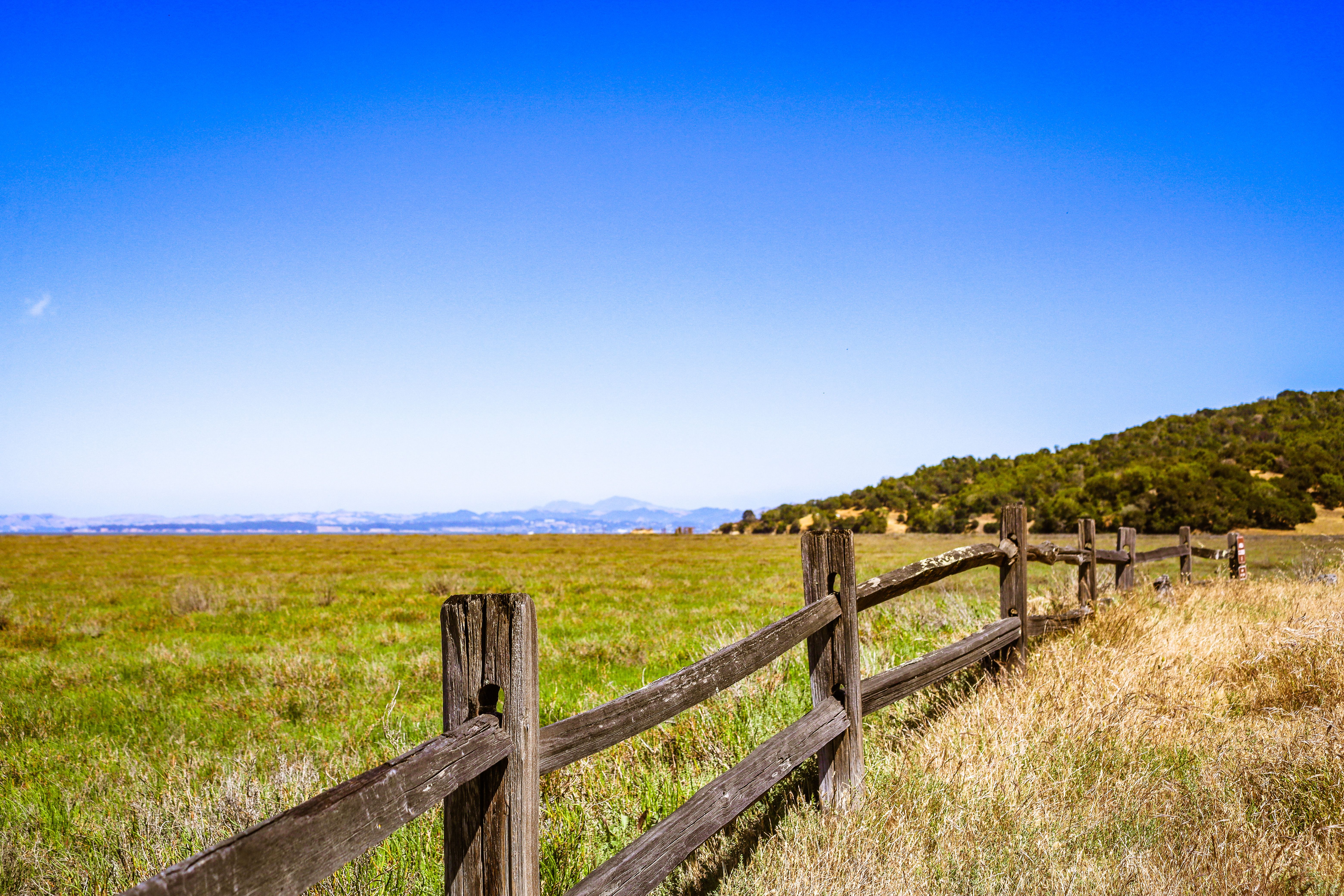 Wooden fence across a rural property