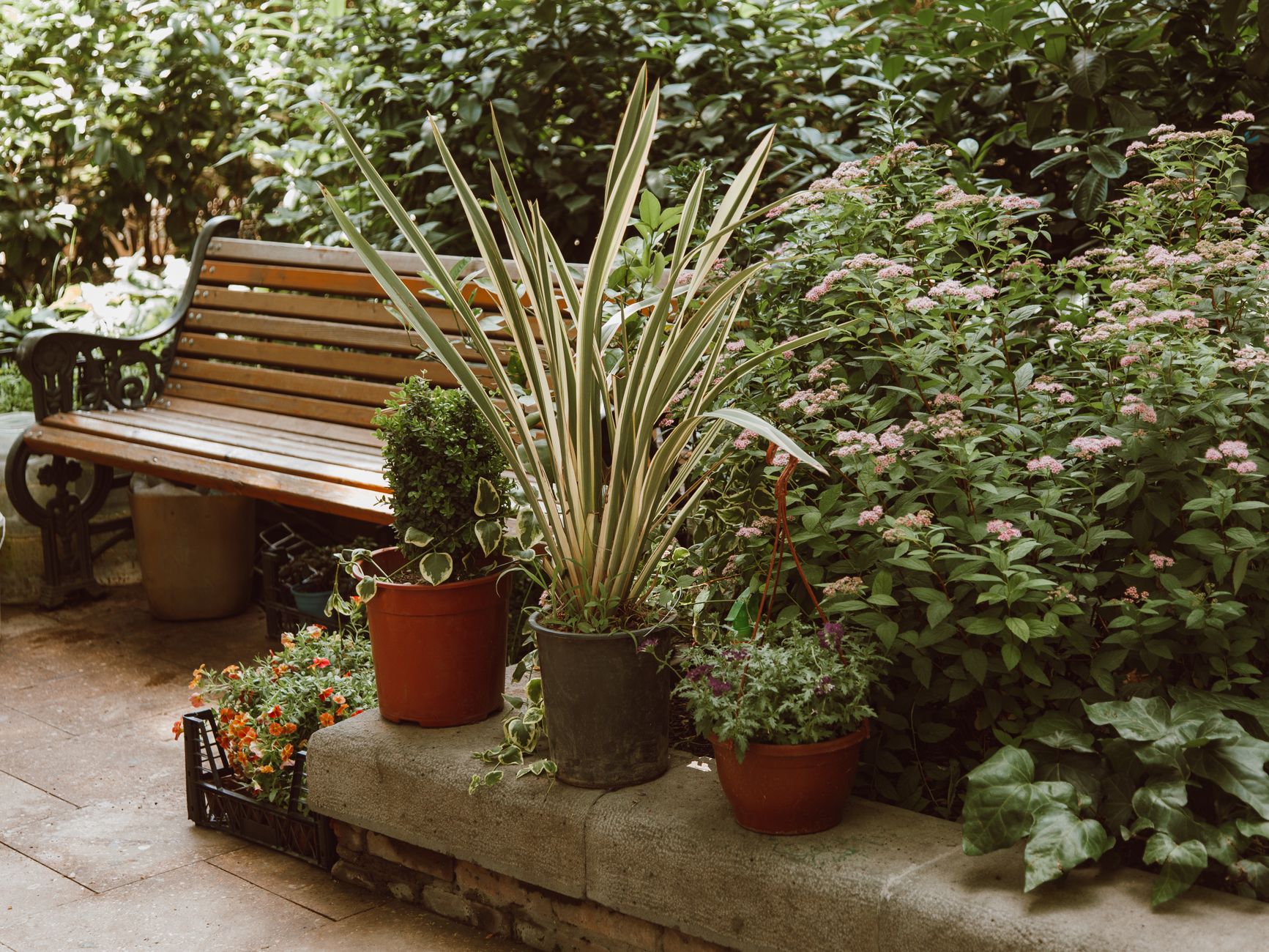 Landscape Design Workshop — Project gallery