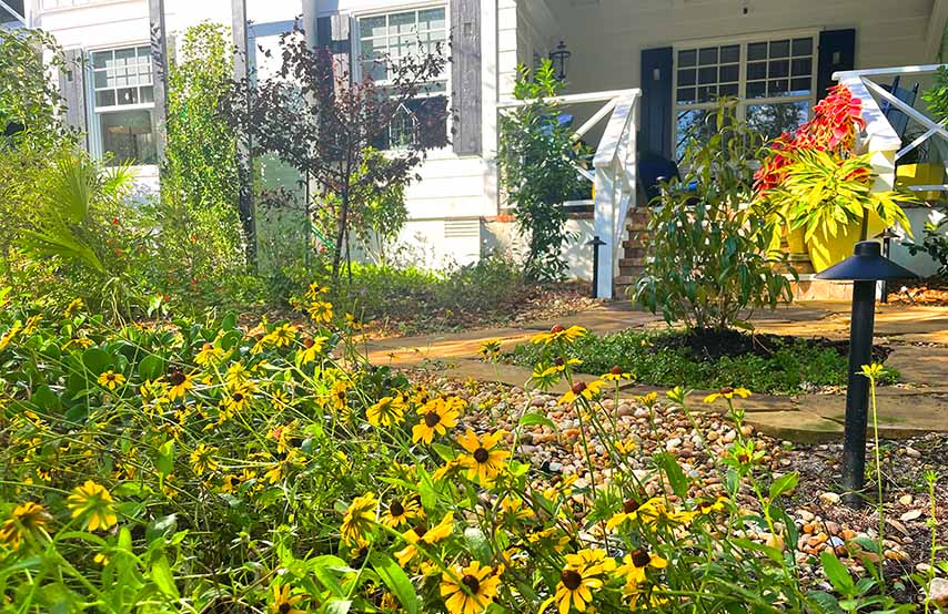 SustainScape Florida — Project gallery