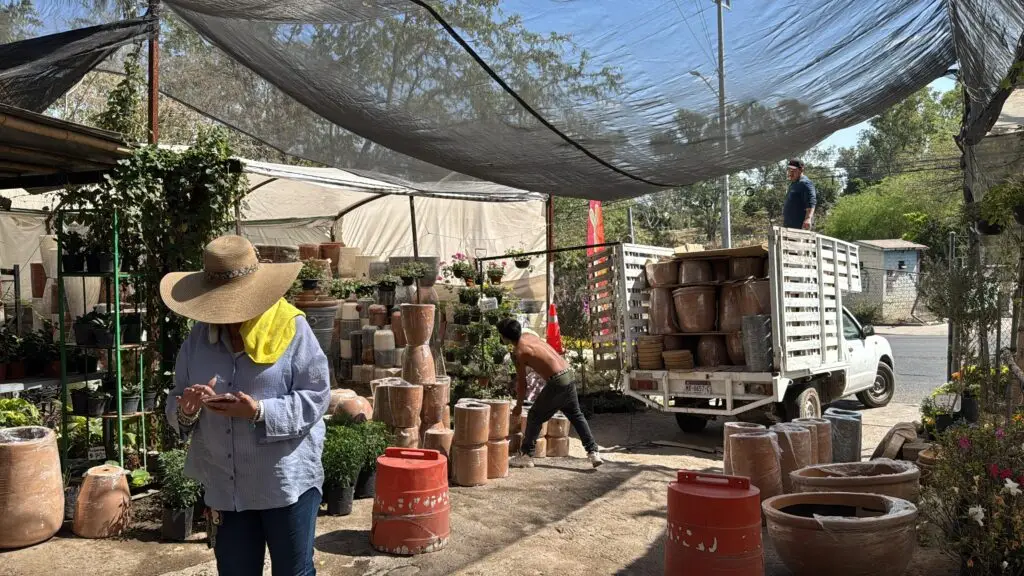 Vivero El Columpio — Galería de proyectos