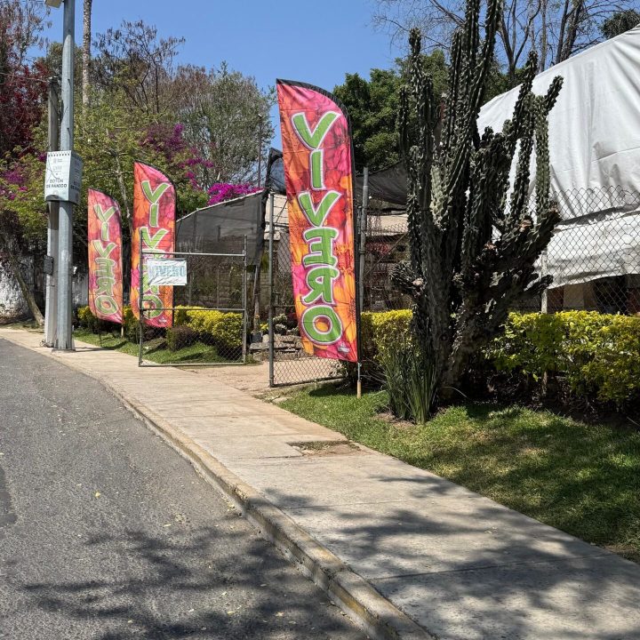Vivero El Columpio — Galería de proyectos