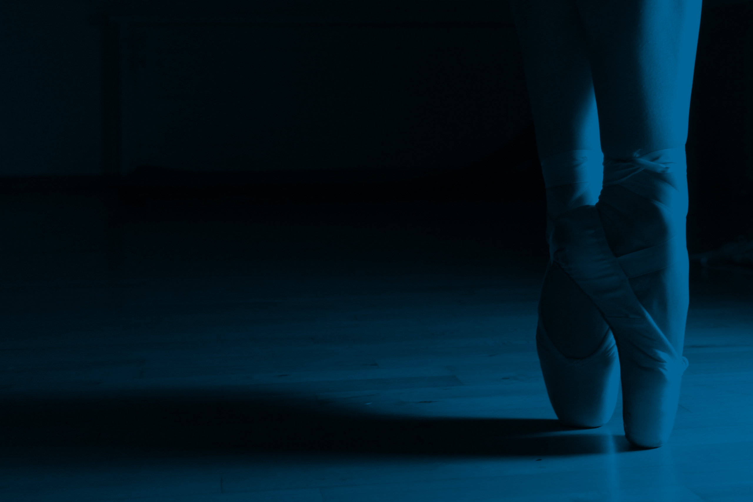 DNA DanceN'Arts School