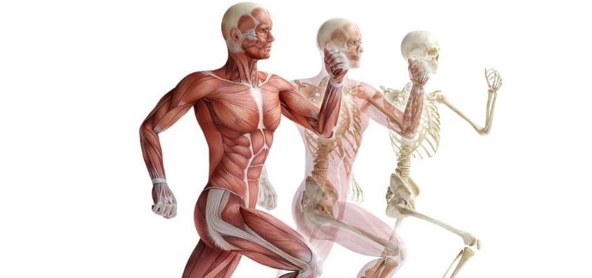 Kìnesis Pilates & Postura
