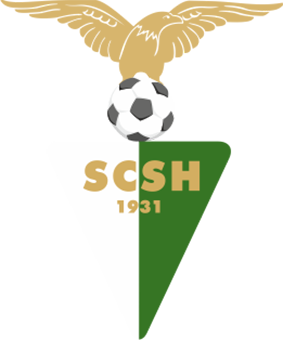 Sport Clube Senhora da Hora