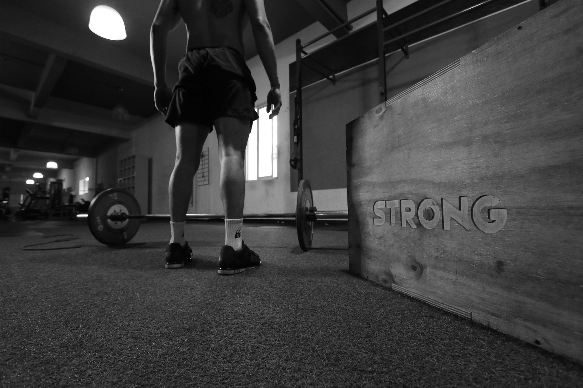Alpha Link CrossFit