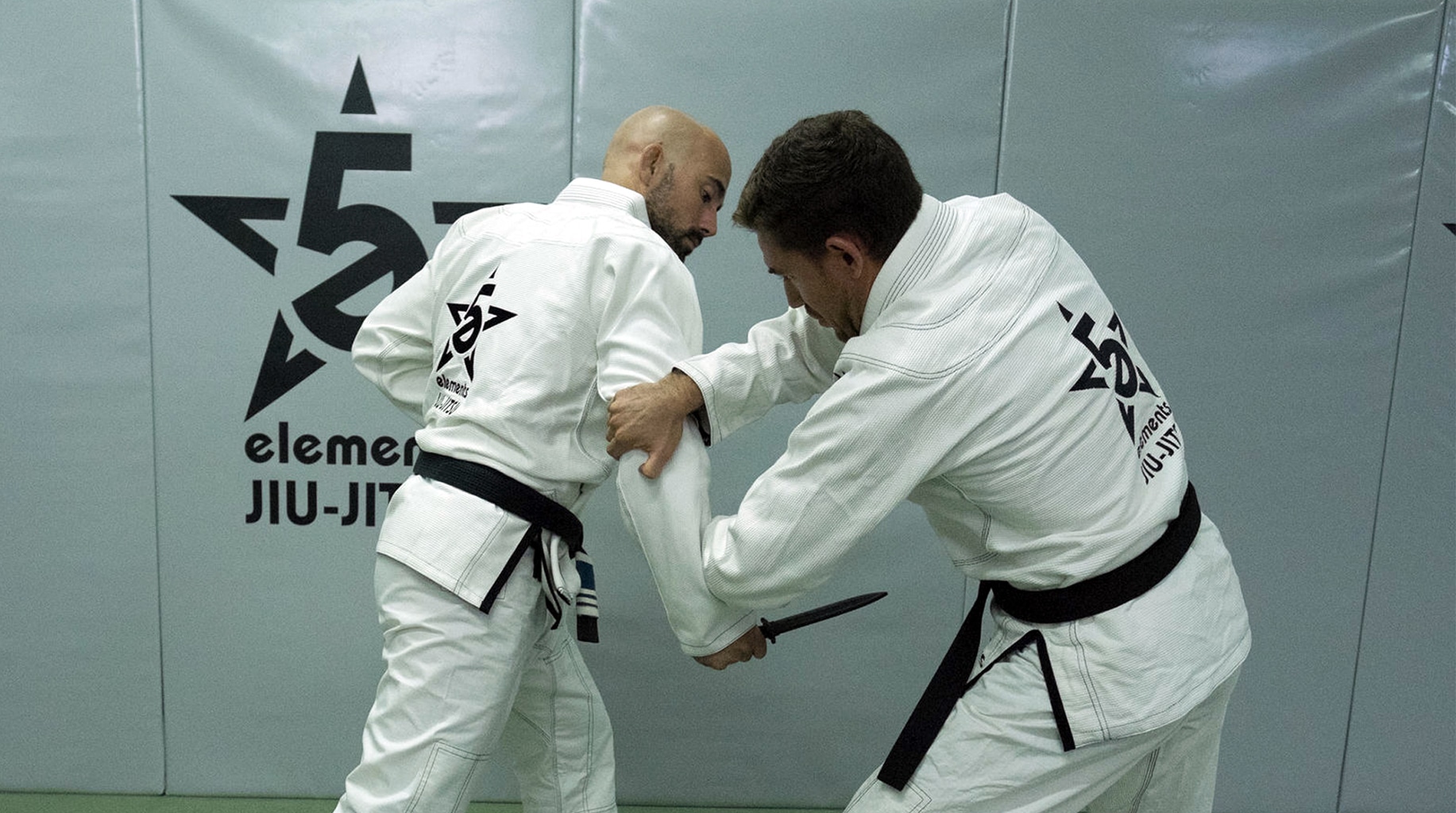 Academia Five Elements Jiu-Jitsu Rato