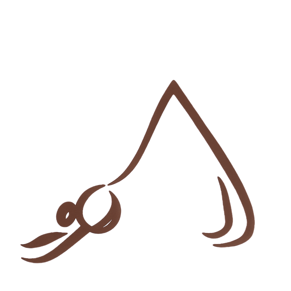 Institut Pilates Infinity