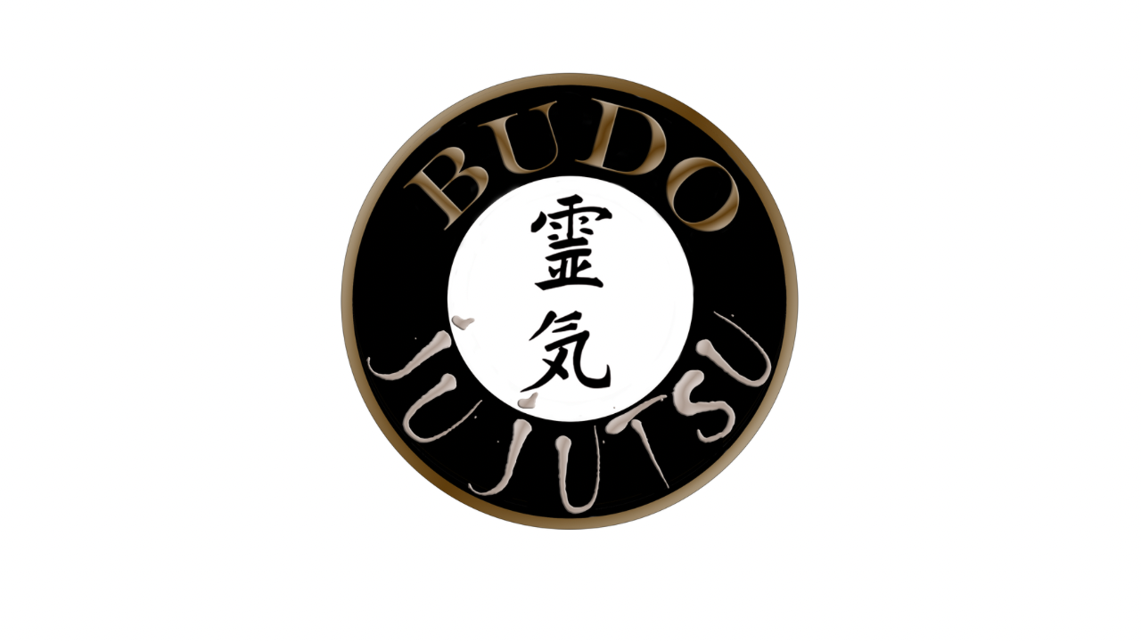 BUDO JU JUTSU | Artes Marciales | Defensa Personal | Ju Jitsu Japonés