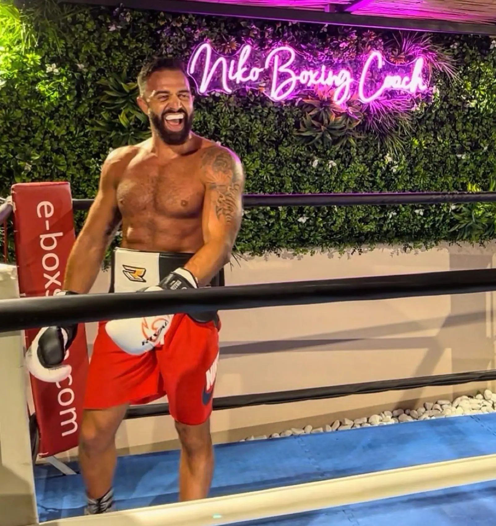 Niko Boxing Coach
