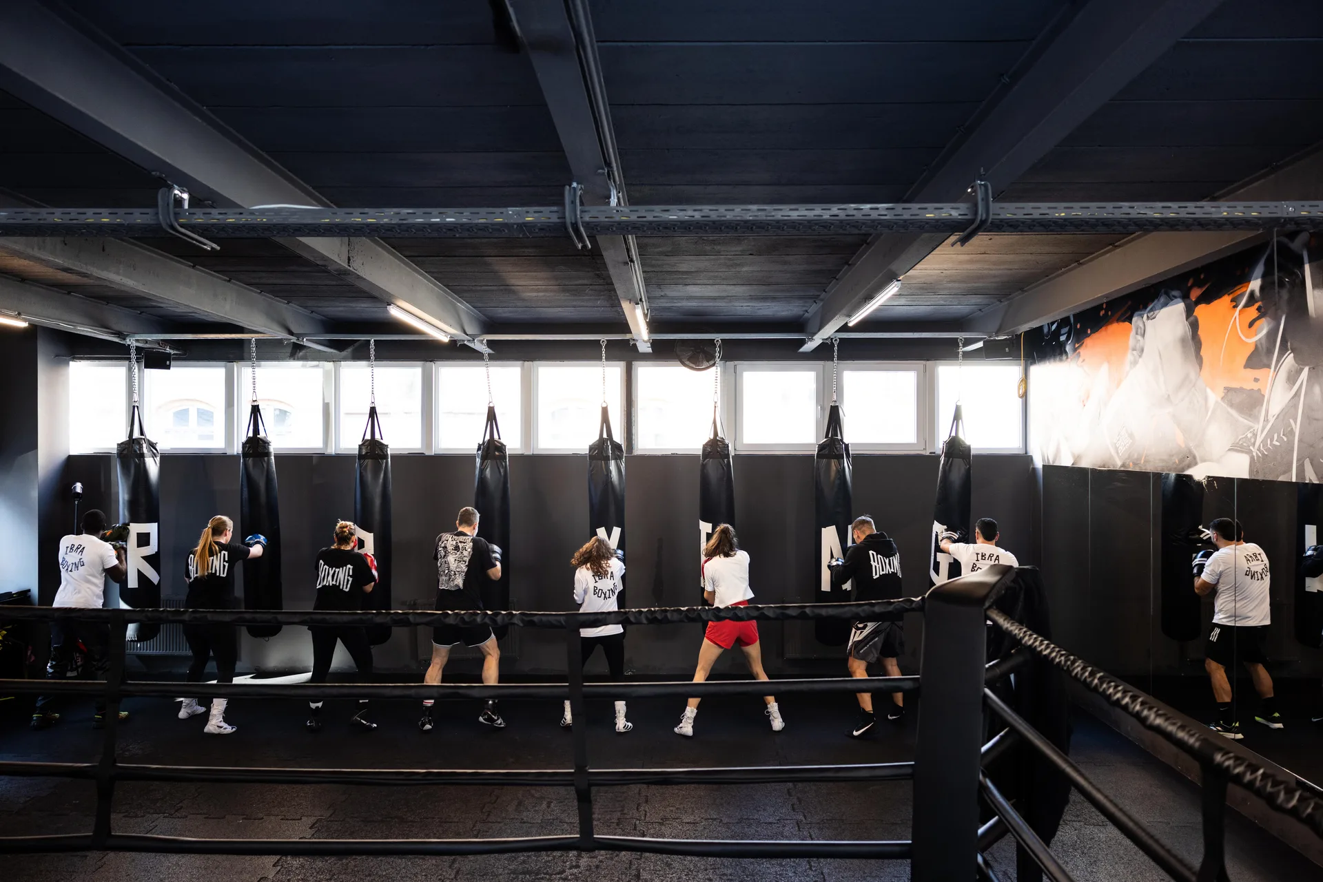 IBRA BOXING