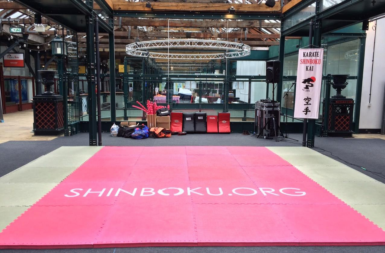 SHINBOKU Karate