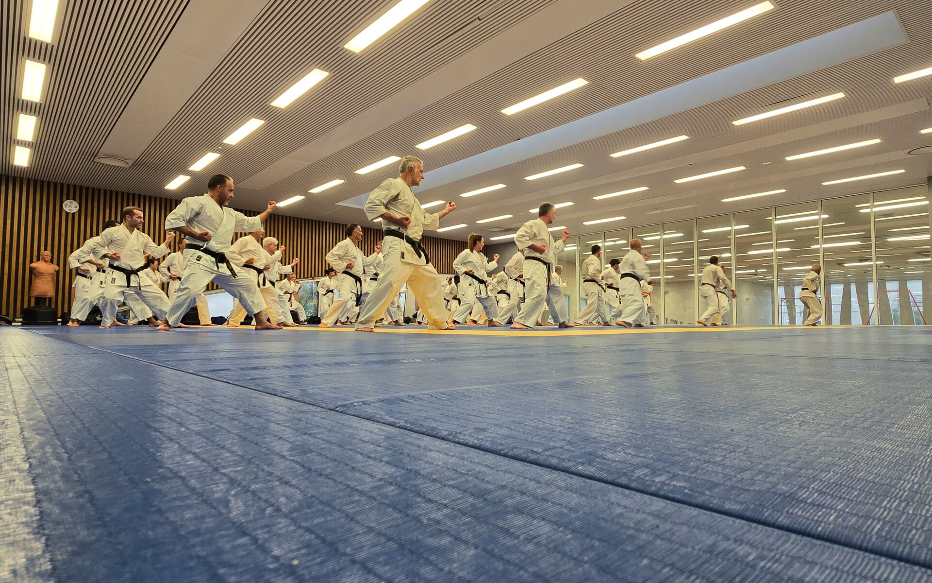 Sporting Karate Marseille