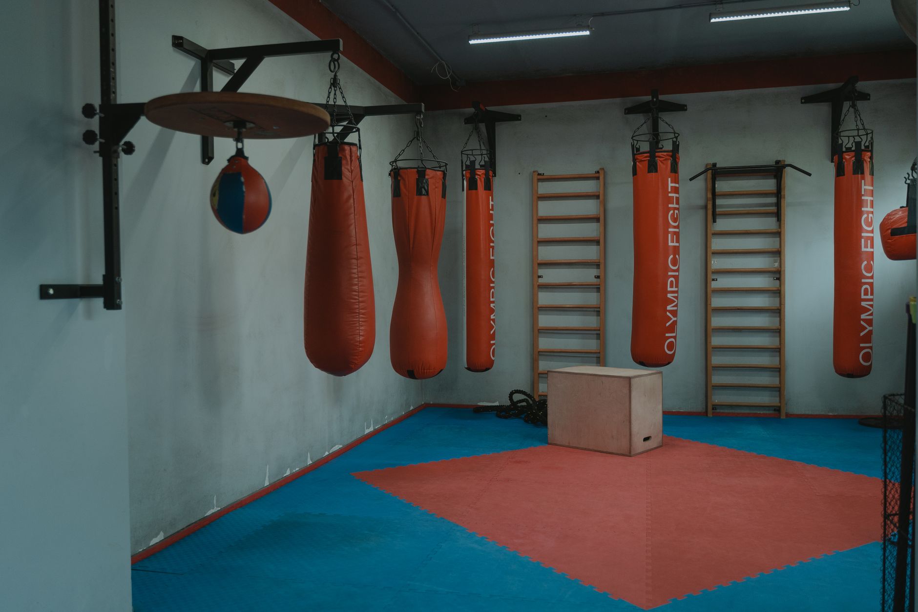 Killer Bees Muaythai