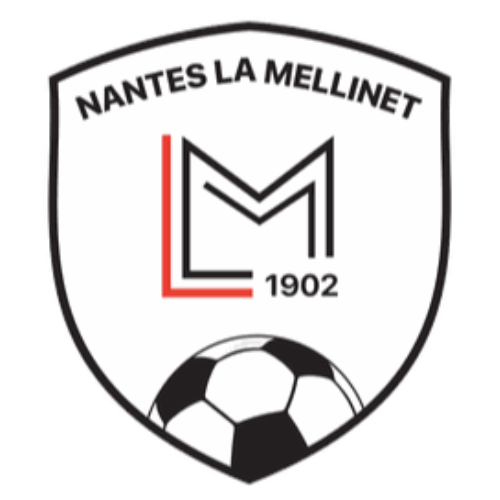 The Mellinet Football