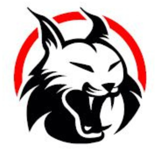 LYNX KRAV MAGA