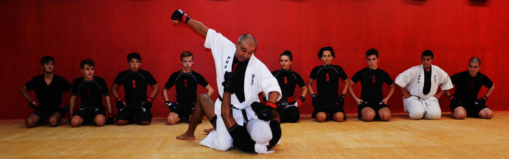MMA Oyama (Kampfsport Frankfurt Höchst)