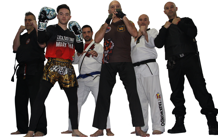 Academia Artes Marciales Templo Alicante