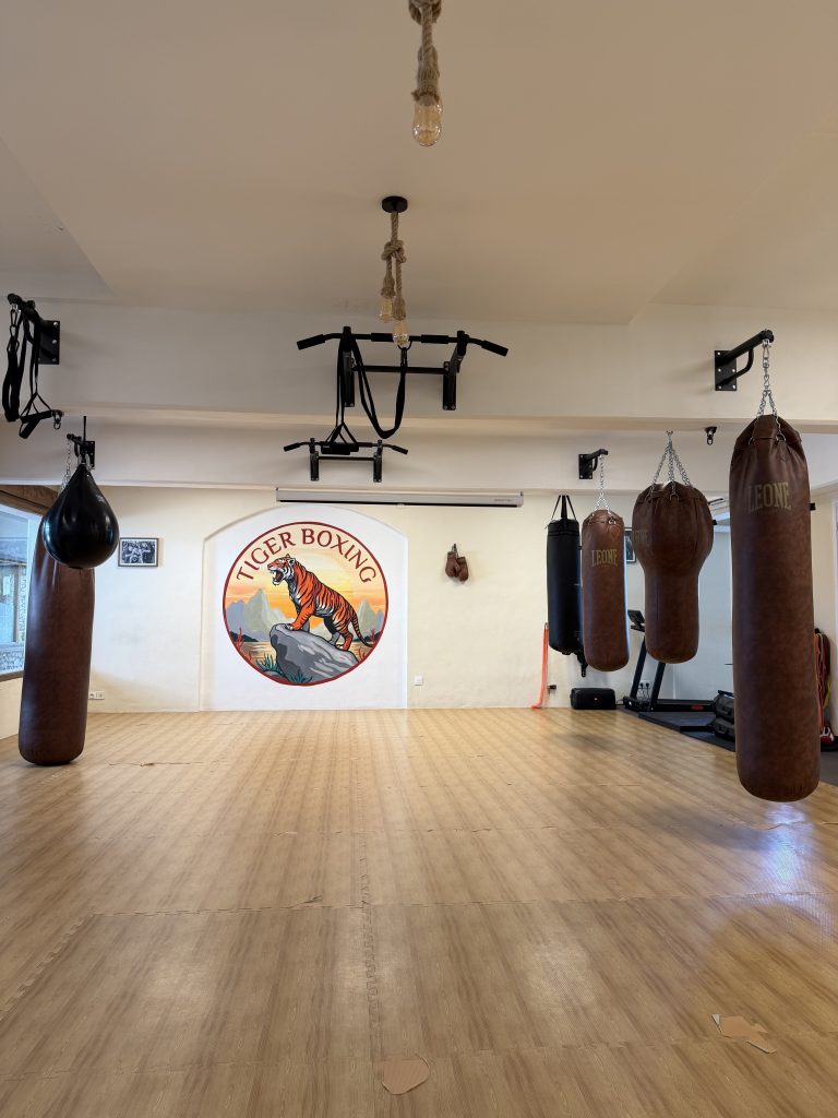 Tiger Boxing