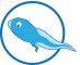 Schwimmschule Die Kaulquappe